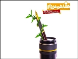 پیام استاندار آذربایجان شرقی به مناسبت 17 مرداد، روز خبرنگار